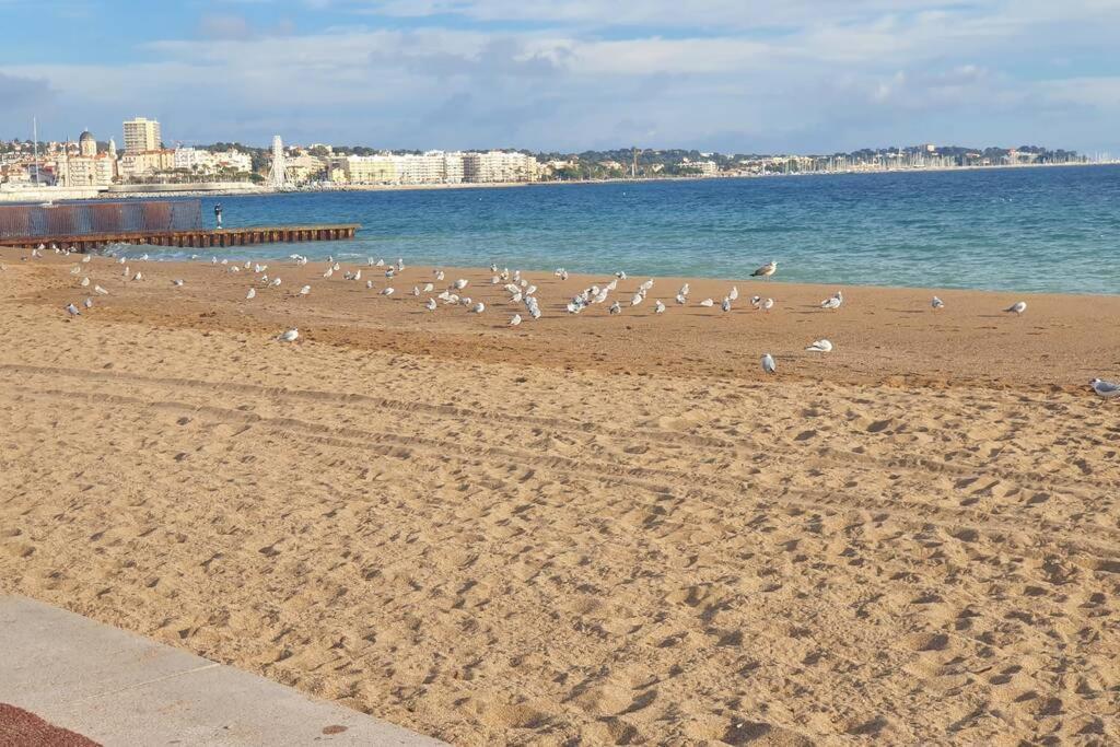T2 climatisé à 5 minutes à pied de la plage avec parking, piscine et wifi Fréjus Extérieur photo